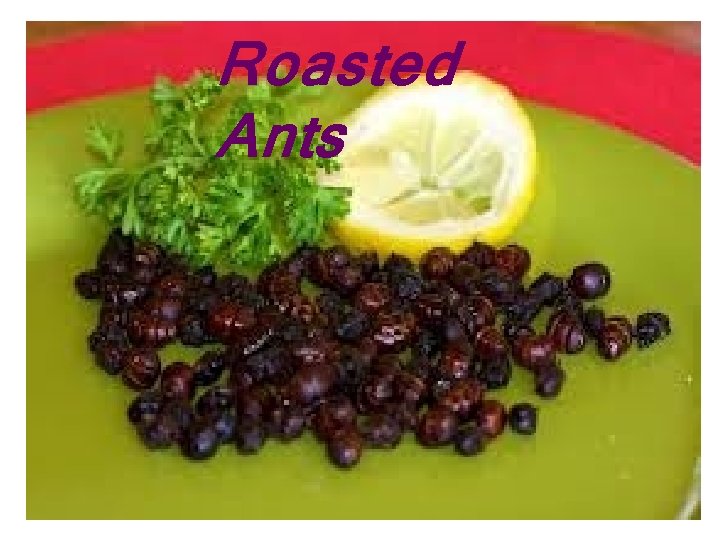 Roasted Ants 