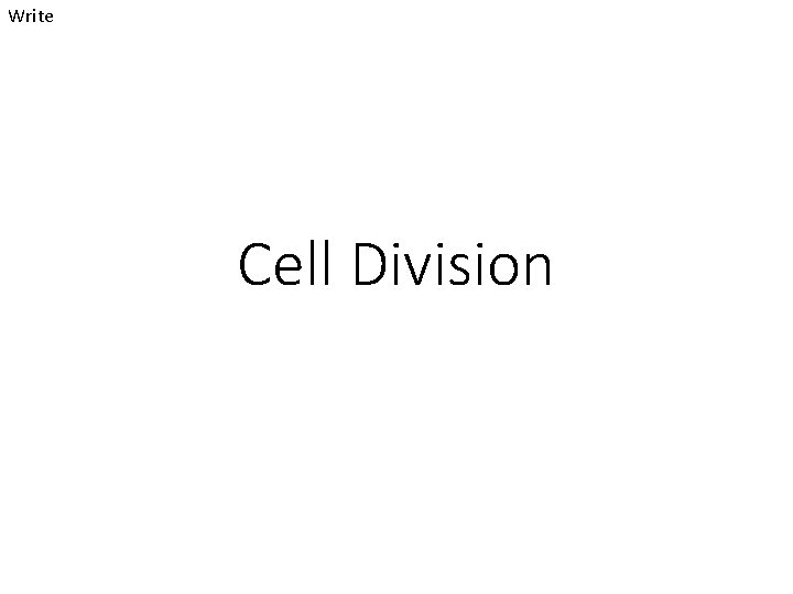 Write Cell Division 