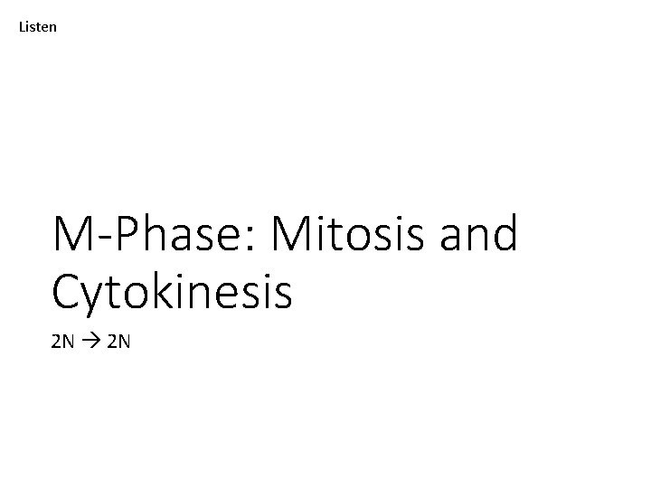 Listen M-Phase: Mitosis and Cytokinesis 2 N 