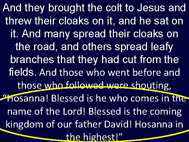 And they brought the colt to Jesus and threw their cloaks on it, and