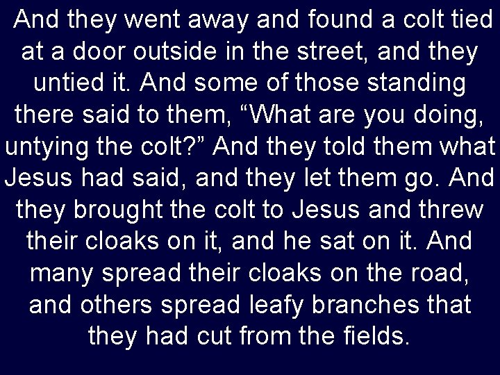  And they went away and found a colt tied at a door outside