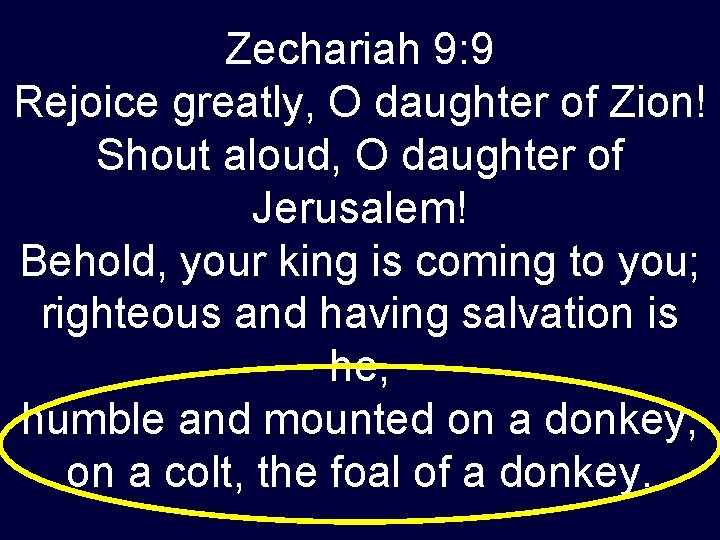 Zechariah 9: 9 Rejoice greatly, O daughter of Zion! Shout aloud, O daughter of