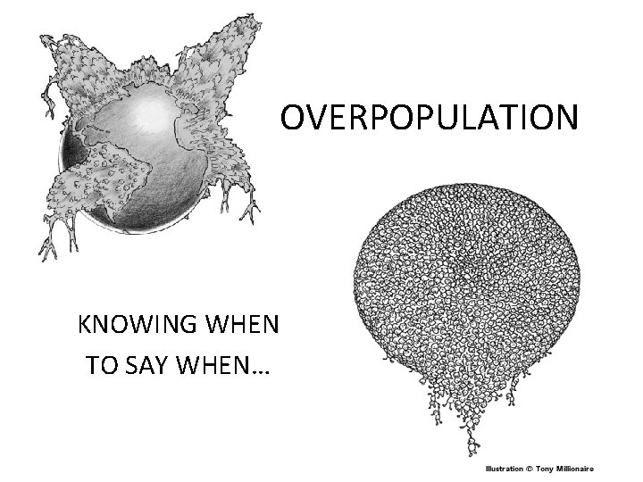 OVERPOPULATION KNOWING WHEN TO SAY WHEN… 