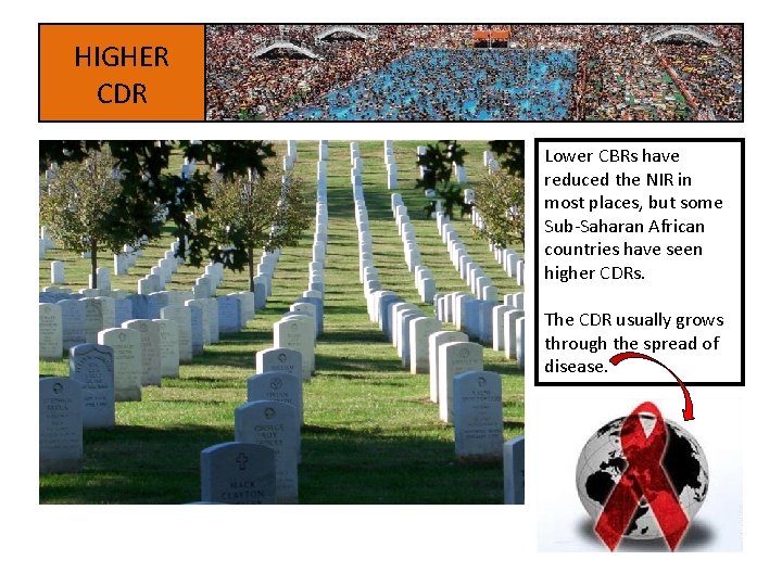 HIGHER CDR Lower CBRs have reduced the NIR in most places, but some Sub-Saharan