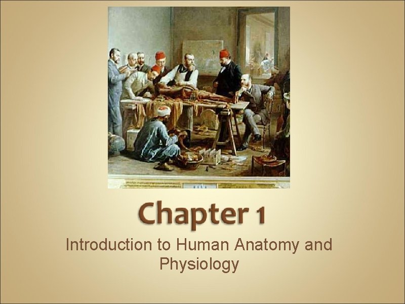 Introduction to Human Anatomy and Physiology 