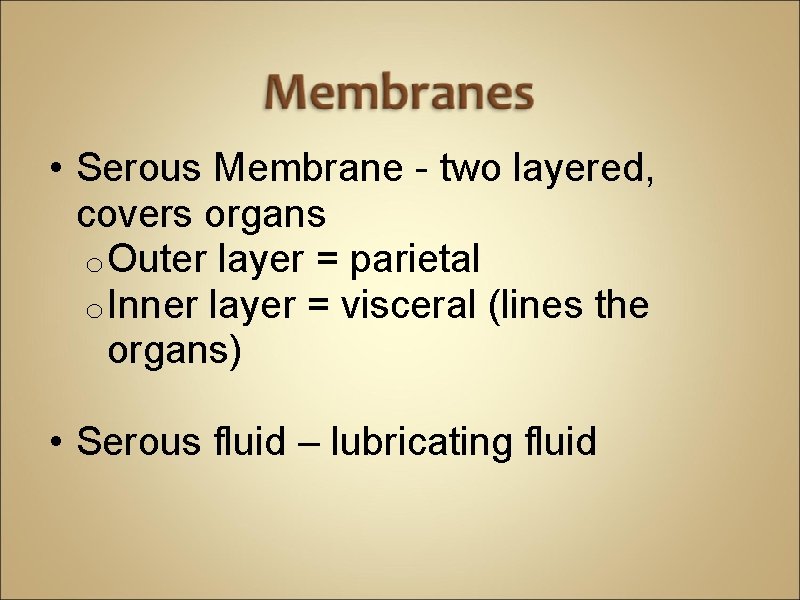  • Serous Membrane - two layered, covers organs o Outer layer = parietal