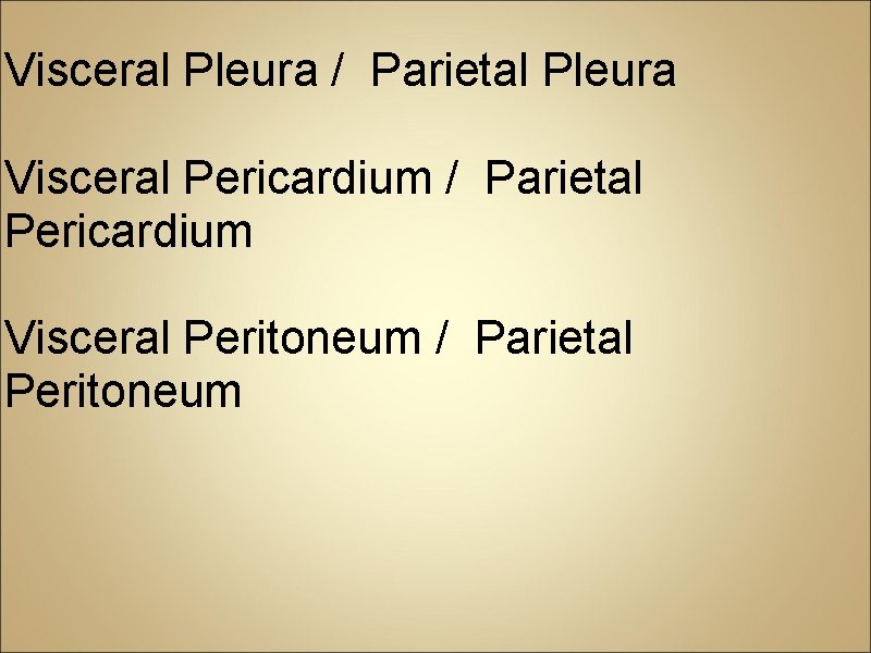 Visceral Pleura / Parietal Pleura Visceral Pericardium / Parietal Pericardium Visceral Peritoneum / Parietal