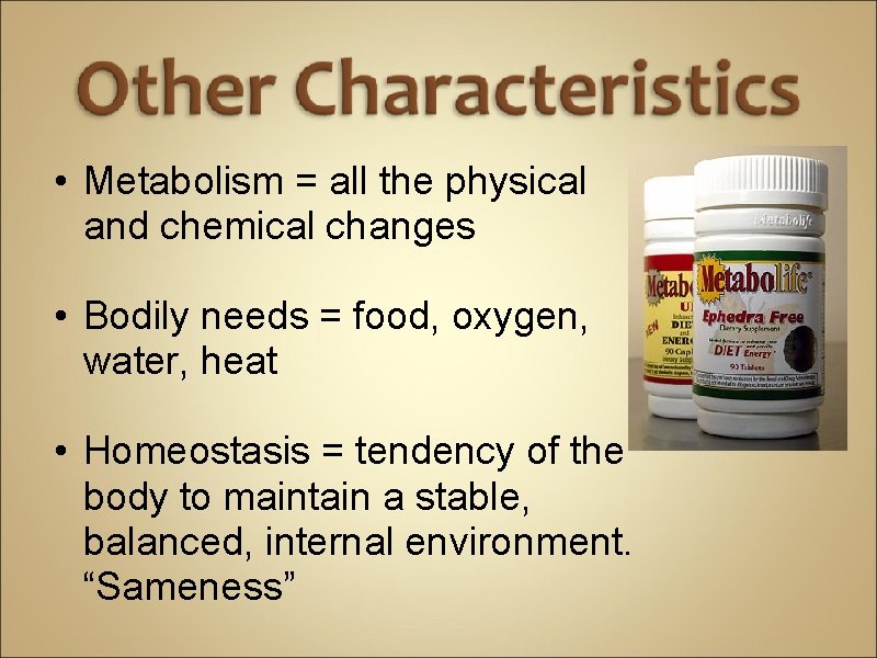  • Metabolism = all the physical and chemical changes • Bodily needs =