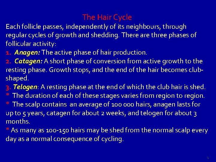 The Hair Cycle Each follicle passes, independently of its neighbours, through regular cycles of