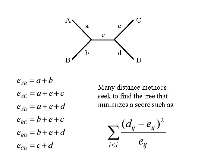 Goals of Phylogenetic Analysis Given a multiple sequence