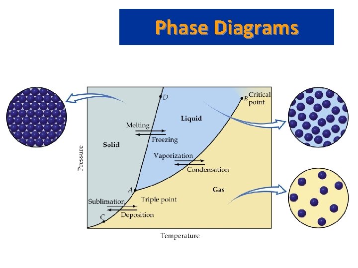 Phase Diagrams 