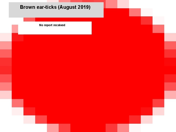 Brown ear-ticks (August 2019) jkccff No report received 