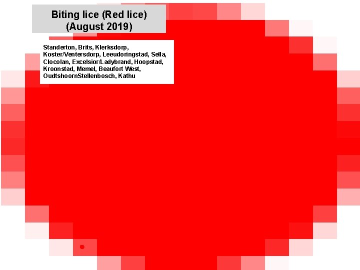 Biting lice (Red lice) (August 2019) jkccff Standerton, Brits, Klerksdorp, Koster/Ventersdorp, Leeudoringstad, Sella, Clocolan,