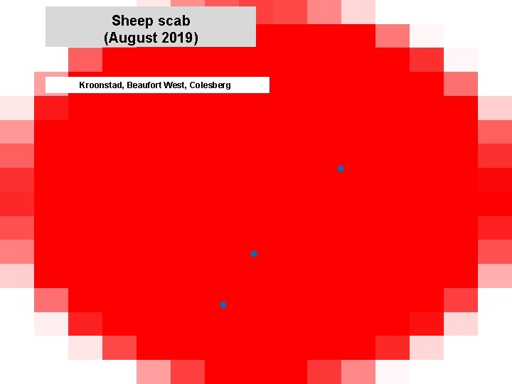 Sheep scab (August 2019) jkccff Kroonstad, Beaufort West, Colesberg 