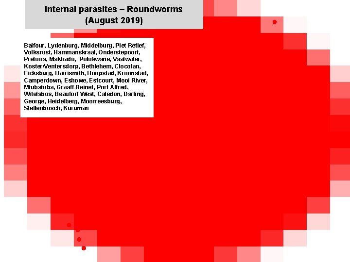 Internal parasites – Roundworms (August 2019) Balfour, Lydenburg, Middelburg, Piet Retief, Volksrust, Hammanskraal, Onderstepoort, Internal parasites – Roundworms (August 2019) Balfour, Lydenburg, Middelburg, Piet Retief, Volksrust, Hammanskraal, Onderstepoort,