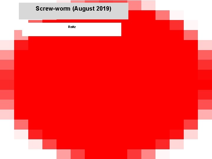 Screw-worm (August 2019) Reitz jkccff 