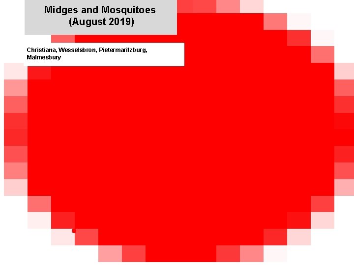 Midges and Mosquitoes (August 2019) jkccff Christiana, Wesselsbron, Pietermaritzburg, Malmesbury Midges and Mosquitoes (August 2019) jkccff Christiana, Wesselsbron, Pietermaritzburg, Malmesbury