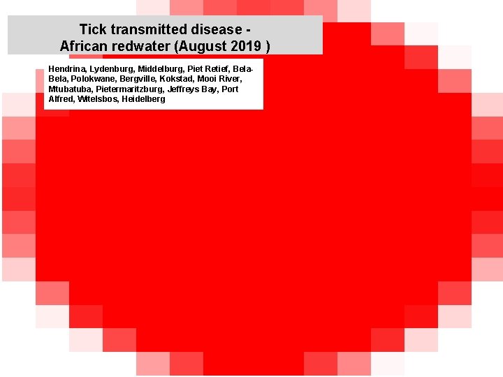 Tick transmitted disease African redwater (August 2019 ) Hendrina, Lydenburg, Middelburg, Piet Retief, Bela,