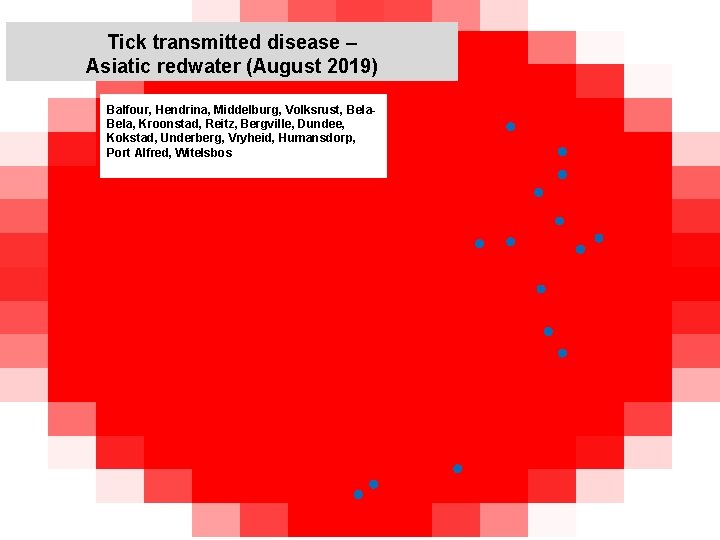 Tick transmitted disease – Asiatic redwater (August 2019) Balfour, Hendrina, Middelburg, Volksrust, Bela, Kroonstad,