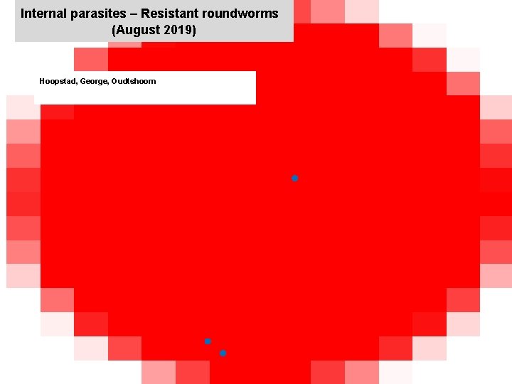 Internal parasites – Resistant roundworms (August 2019) jkccff Hoopstad, George, Oudtshoorn x 