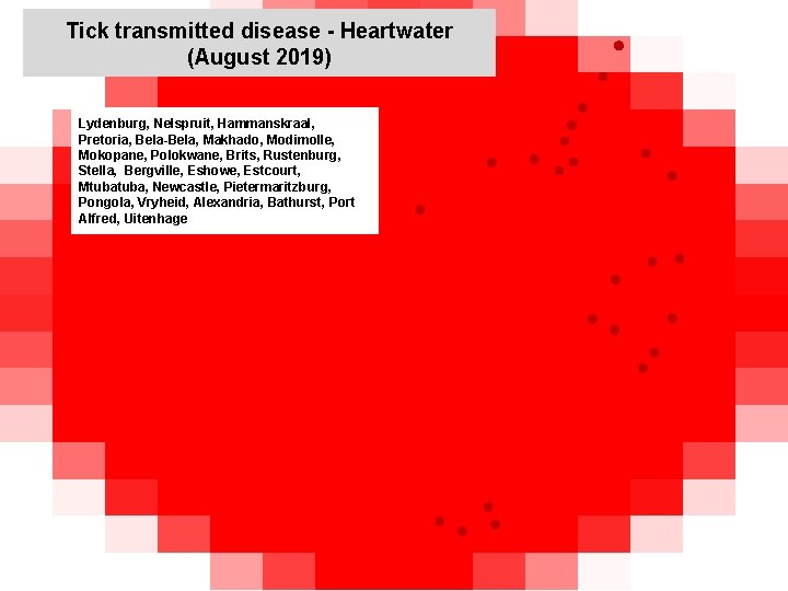 Tick transmitted disease - Heartwater (August 2019) Lydenburg, Nelspruit, Hammanskraal, Pretoria, Bela-Bela, Makhado, Modimolle,