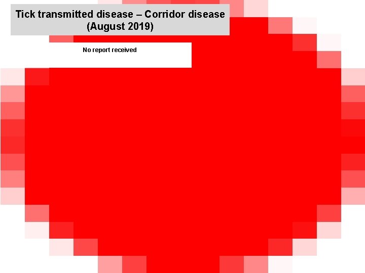 Tick transmitted disease – Corridor disease (August 2019) No report received 