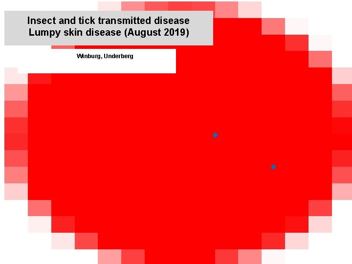 Insect and tick transmitted disease Lumpy skin disease (August 2019) kjkjnmn Winburg, Underberg 