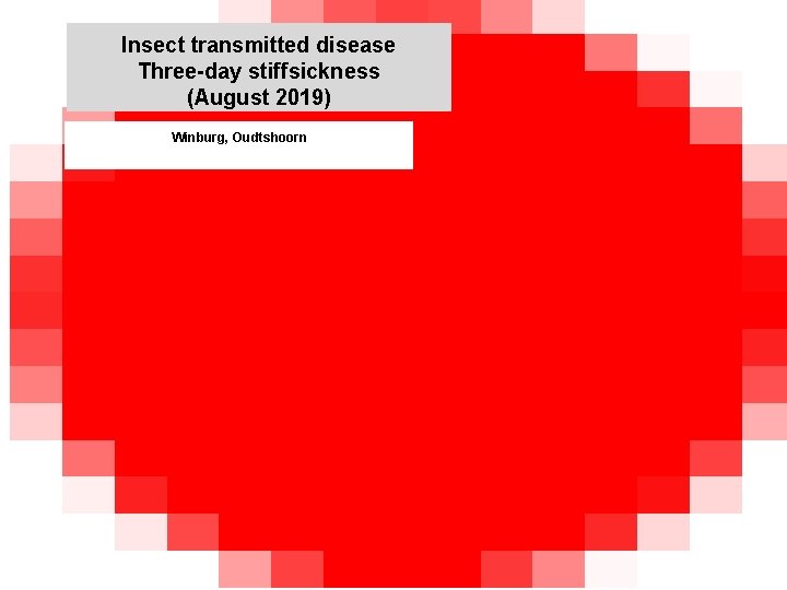 Insect transmitted disease Three-day stiffsickness (August 2019) kjkjnmn Winburg, Oudtshoorn Insect transmitted disease Three-day stiffsickness (August 2019) kjkjnmn Winburg, Oudtshoorn