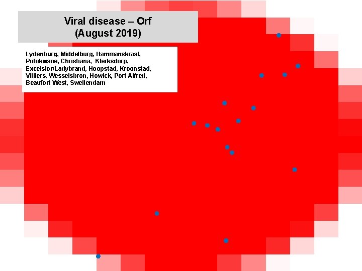 Viral disease – Orf (August 2019) kjkjnmn Lydenburg, Middelburg, Hammanskraal, Polokwane, Christiana, Klerksdorp, Excelsior/Ladybrand,