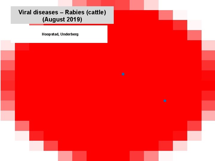 Viral diseases – Rabies (cattle) (August 2019) kjkjnmn Hoopstad, Underberg 