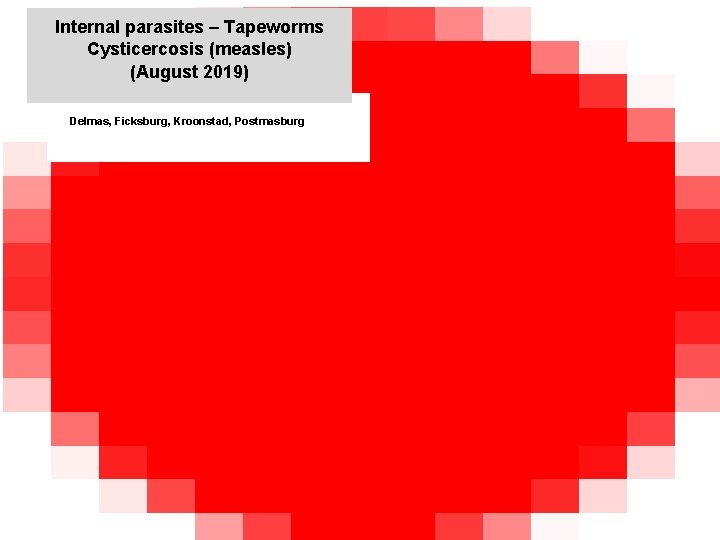 Internal parasites – Tapeworms Cysticercosis (measles) (August 2019) jkccff Delmas, Ficksburg, Kroonstad, Postmasburg 00