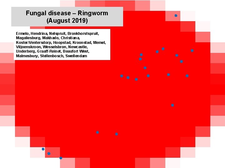 Fungal disease – Ringworm (August 2019) kjkjnmn Ermelo, Hendrina, Nelspruit, Bronkhorstspruit, Magaliesburg, Makhado, Christiana,