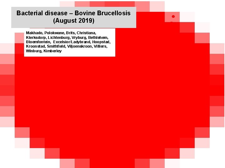 Bacterial disease – Bovine Brucellosis (August 2019) kjkjnmn Makhado, Polokwane, Brits, Christiana, Klerksdorp, Lichtenburg,