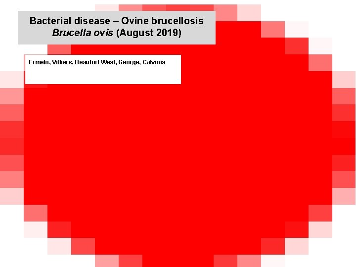 Bacterial disease – Ovine brucellosis Brucella ovis (August 2019) kjkjnmn Ermelo, Villiers, Beaufort West,