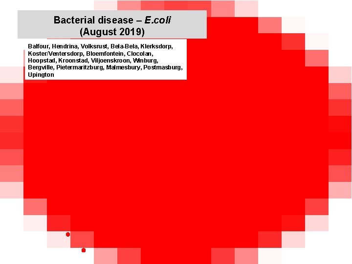 Bacterial disease – E. coli (August 2019) kjkjnmn Balfour, Hendrina, Volksrust, Bela-Bela, Klerksdorp, Koster/Ventersdorp,