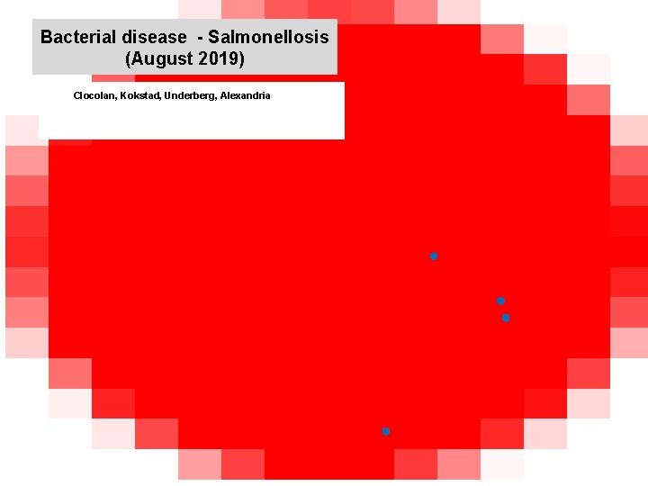 Bacterial disease - Salmonellosis (August 2019) kjkjnmn Clocolan, Kokstad, Underberg, Alexandria 