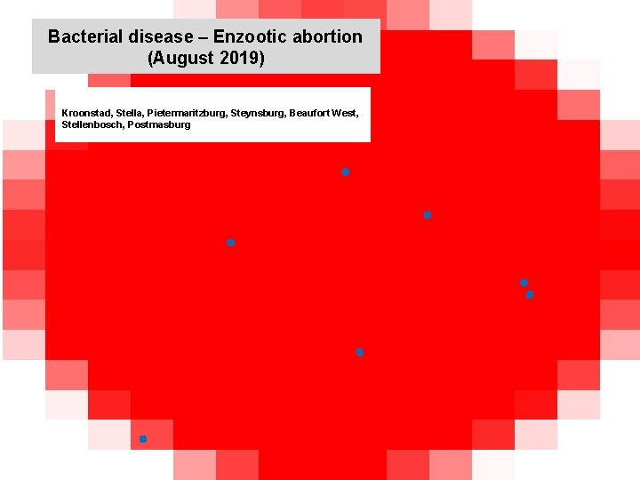 Bacterial disease – Enzootic abortion (August 2019) kjkjnmn Kroonstad, Stella, Pietermaritzburg, Steynsburg, Beaufort West,