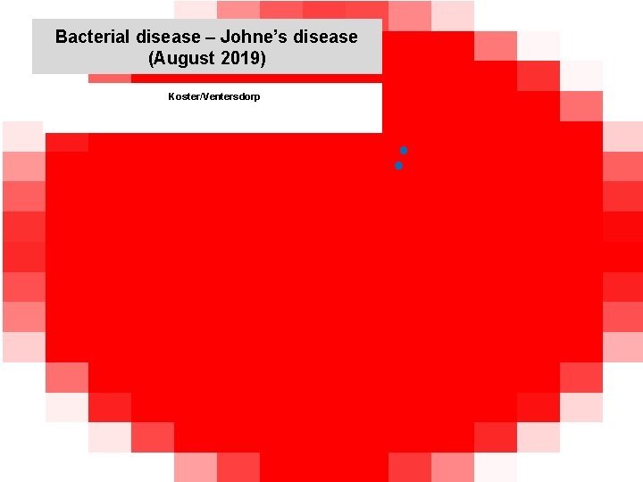 Bacterial disease – Johne’s disease (August 2019) kjkjnmn Koster/Ventersdorp 