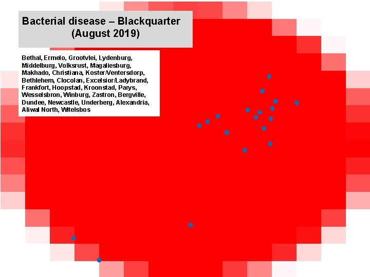 Bacterial disease – Blackquarter (August 2019) kjkjnmn Bethal, Ermelo, Grootvlei, Lydenburg, Middelburg, Volksrust, Magaliesburg,
