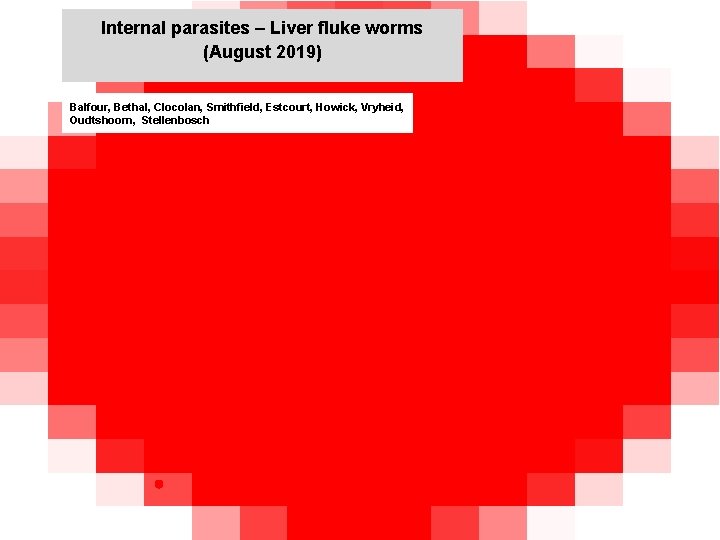 Internal parasites – Liver fluke worms (August 2019) jkccff Balfour, Bethal, Clocolan, Smithfield, Estcourt,