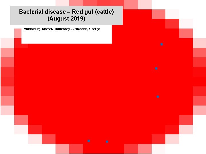 Bacterial disease – Red gut (cattle) (August 2019) kjkjnmn Middelburg, Memel, Underberg, Alexandria, George