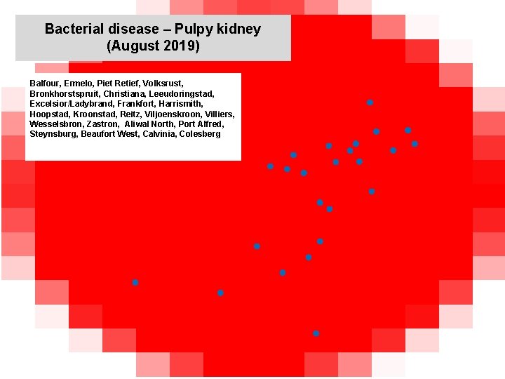 Bacterial disease – Pulpy kidney (August 2019) kjkjnmn Balfour, Ermelo, Piet Retief, Volksrust, Bronkhorstspruit,