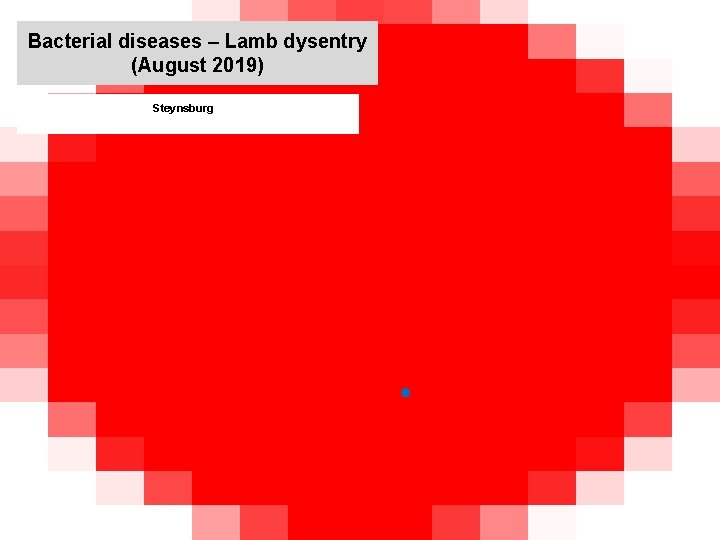 Bacterial diseases – Lamb dysentry (August 2019) kjkjnmn Steynsburg 