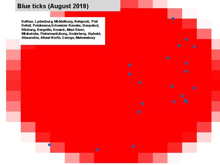 Blue ticks (August 2019) jkccff Balfour, Lydenburg, Middelburg, Nelspruit, Piet Retief, Polokwane, Schweizer-Reneke, Hoopstad,