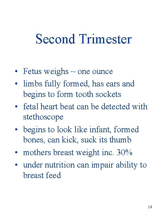 Second Trimester • Fetus weighs ~ one ounce • limbs fully formed, has ears