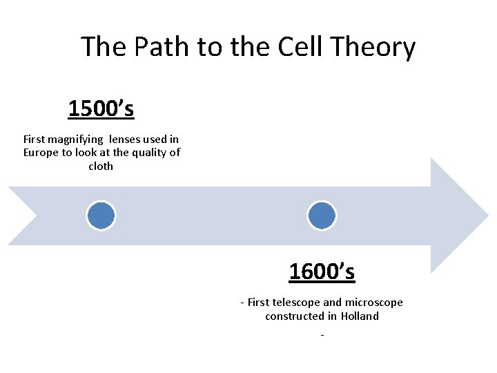 The Path to the Cell Theory 1500’s First magnifying lenses used in Europe to