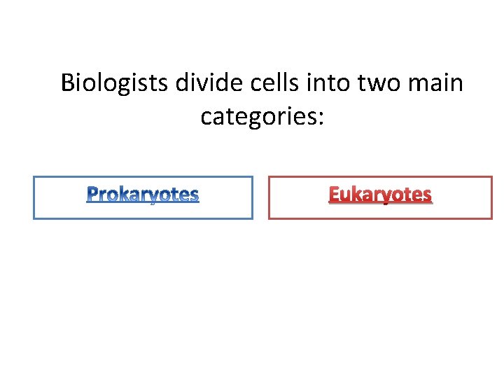 Biologists divide cells into two main categories: Eukaryotes 