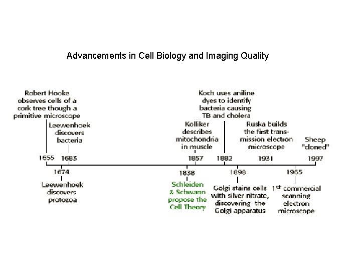 Advancements in Cell Biology and Imaging Quality 