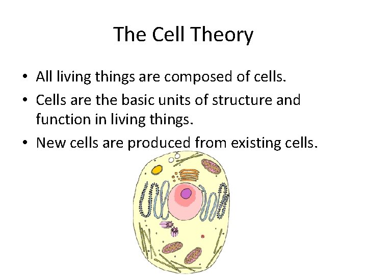 The Cell Theory • All living things are composed of cells. • Cells are