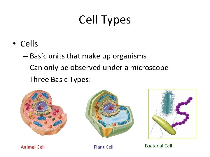 Cell Types • Cells – Basic units that make up organisms – Can only